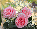 Букет из трех розовых роз с декоративными белыми травинками. 
Размер: 720x540. 
Размер файла: 455.01 КБ